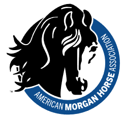 morgan horse logo