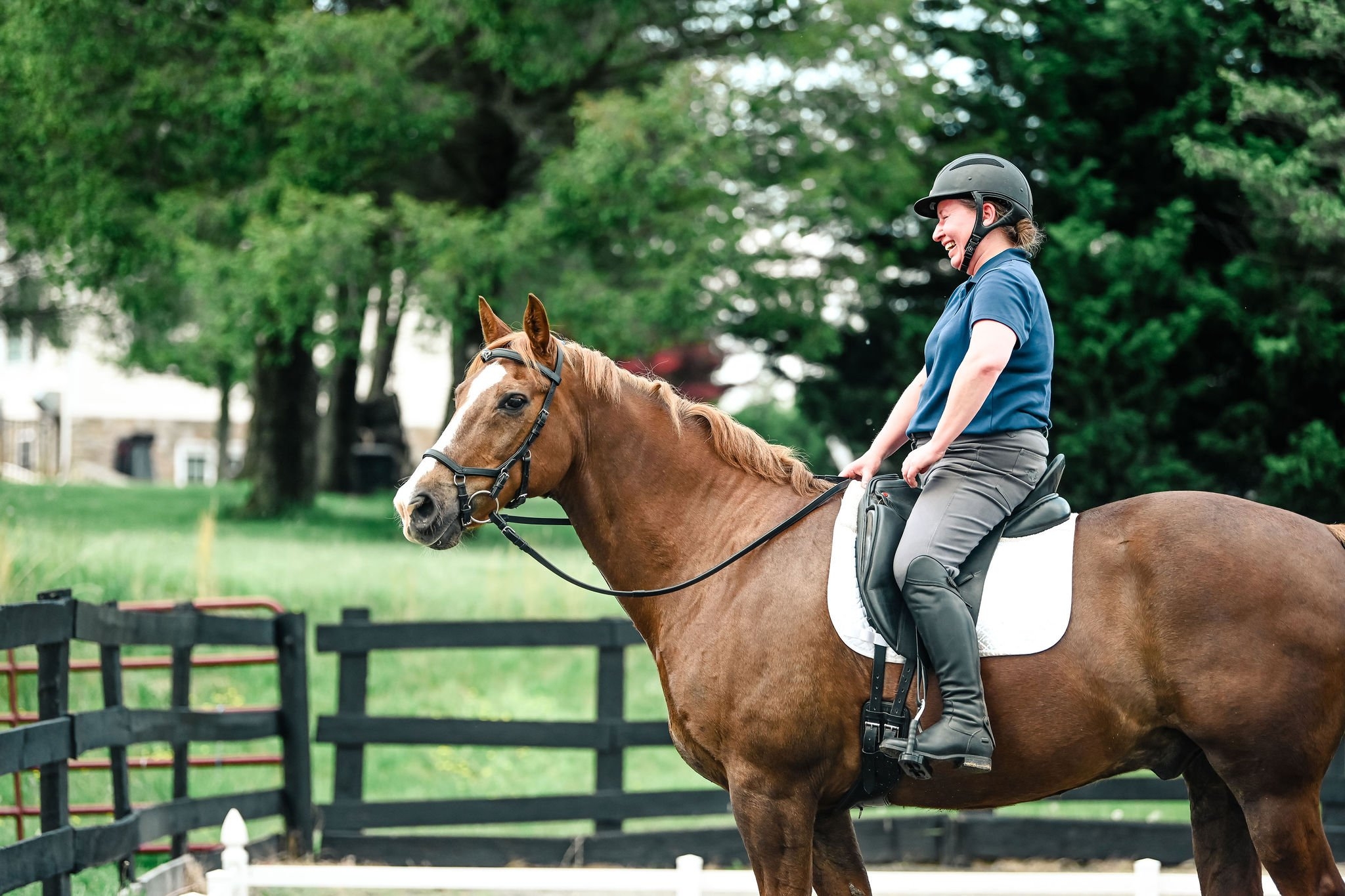 AMHA Open Competition Year End Awards